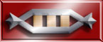 Captain\'s Merit Award