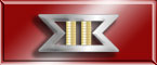 Executive Officer\'s Merit Award